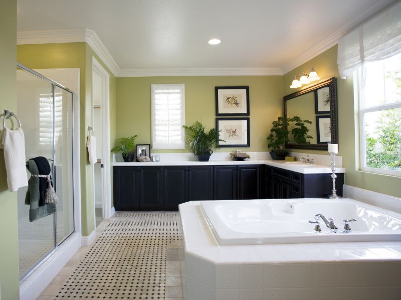 Elegant Shower and Tub Areas